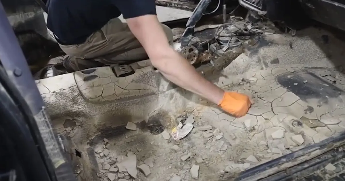 Professional Cleaning Services