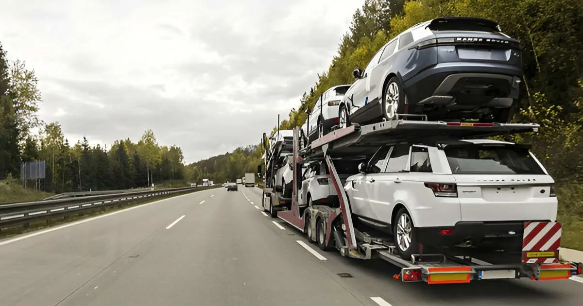 Height Stick Portability And Storage