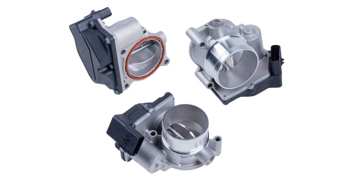 Interpreting The Results