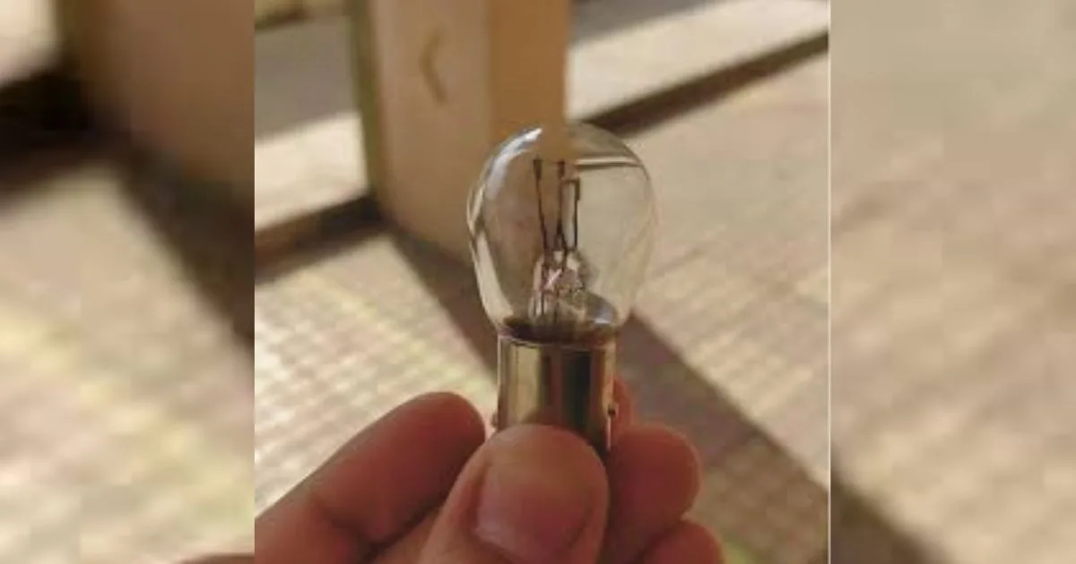 Legal And Safety Considerations