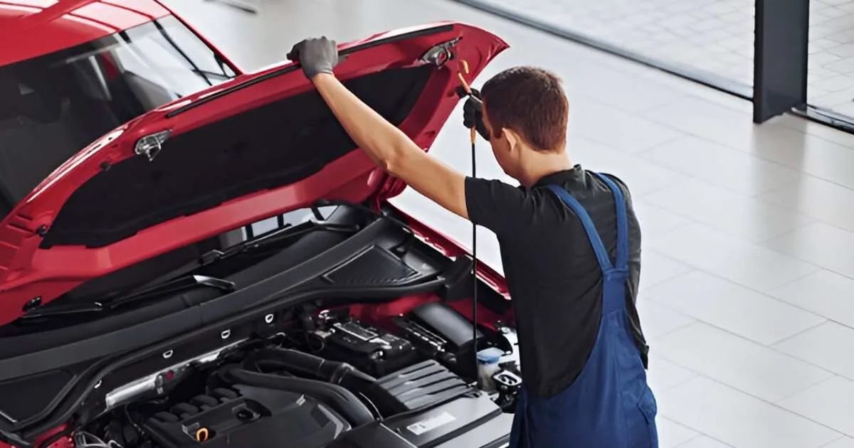 Long-term Maintenance To Avoid Future Damage