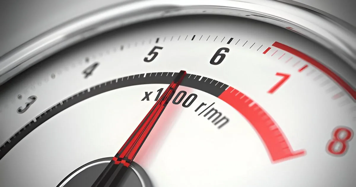 Preventative Measures And Regular Checks