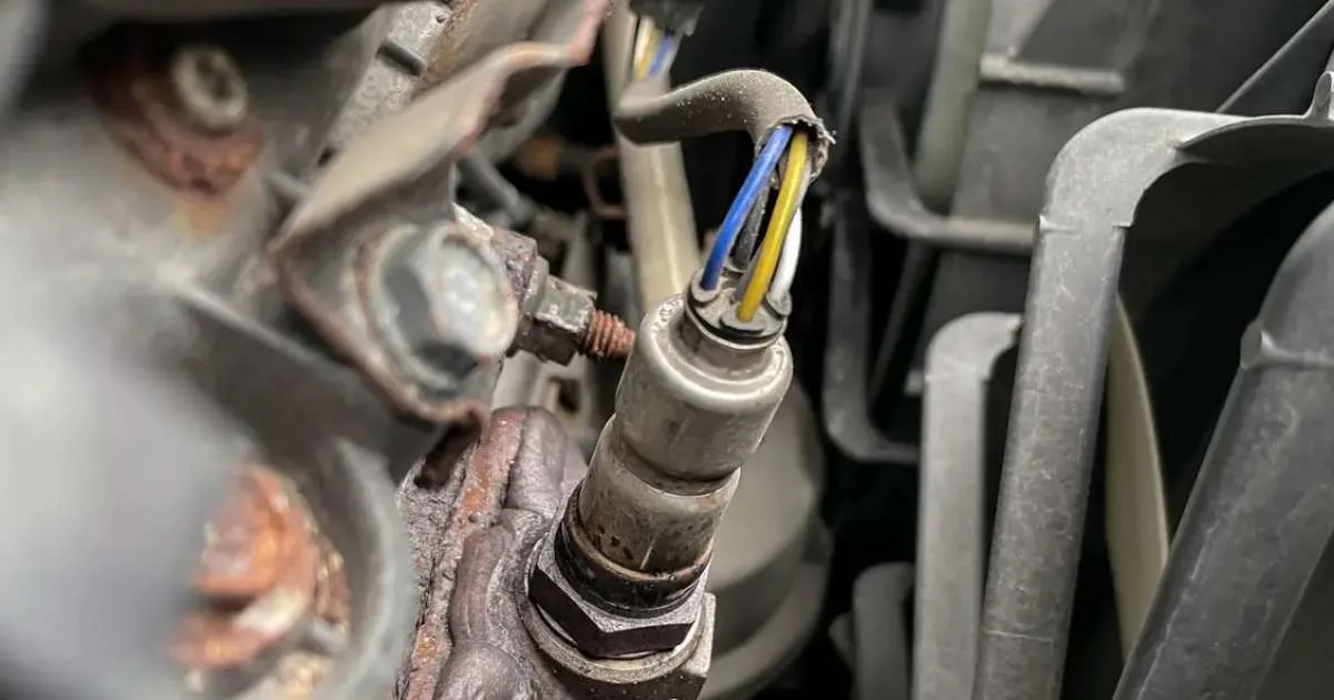 Preventative Measures