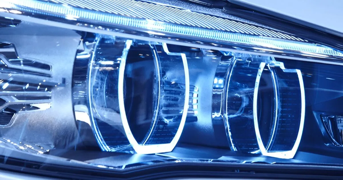 Professional Customization Services