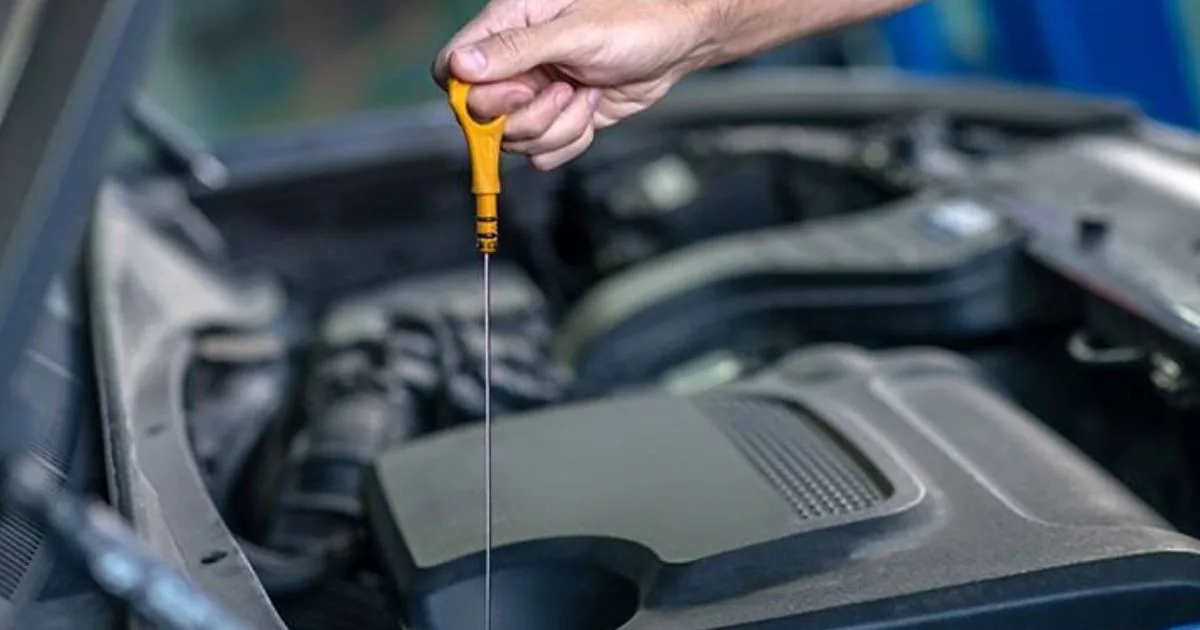 Showcasing Your Work