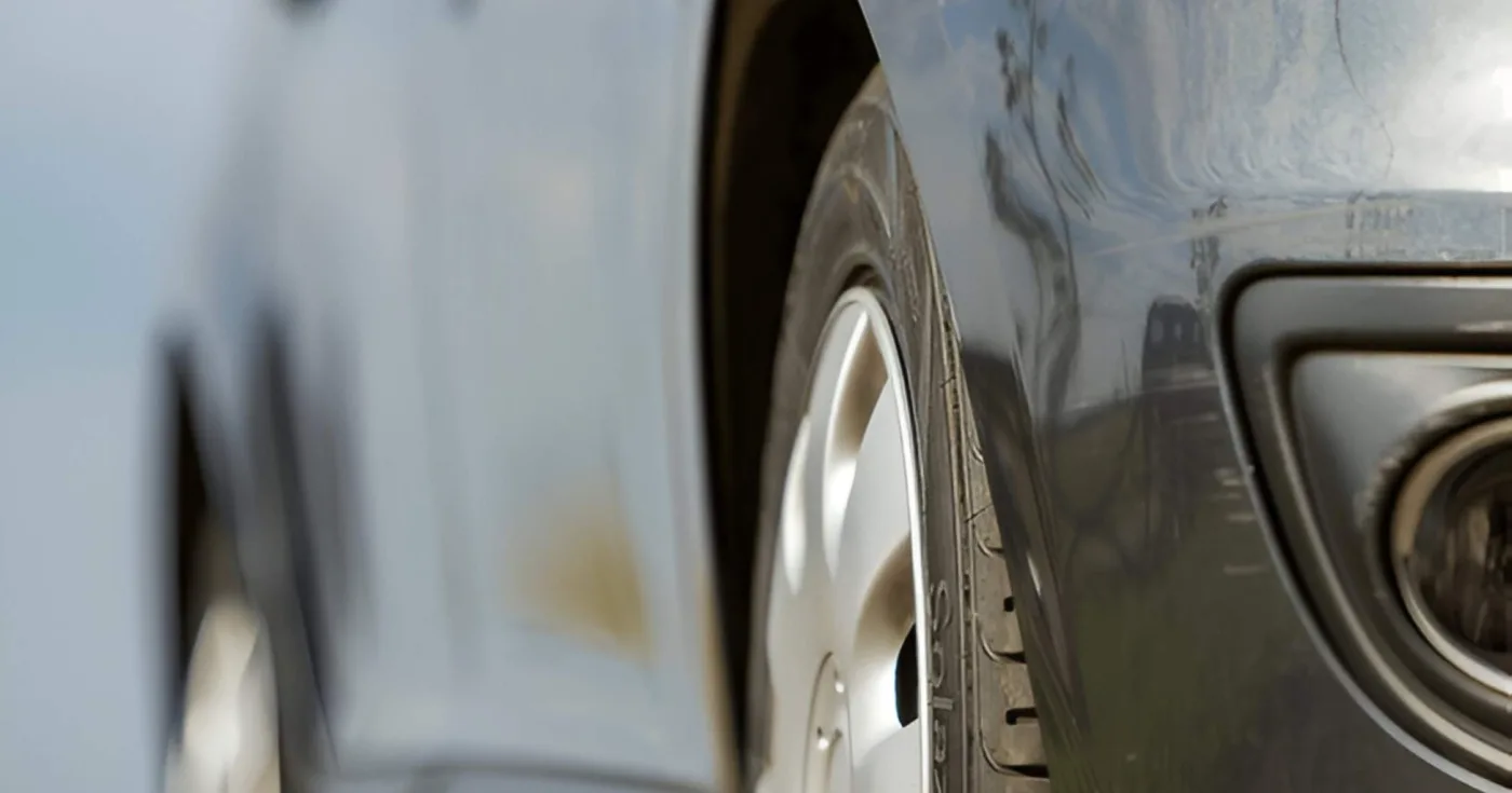 Wide Range Of Options